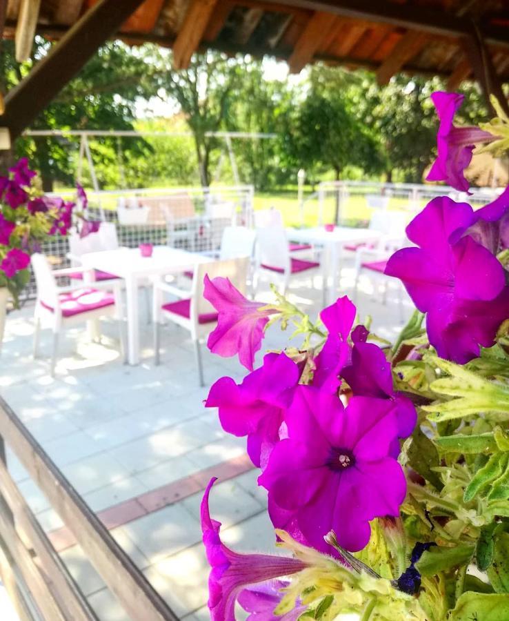 Maslina Rooms Smederevo Luaran gambar